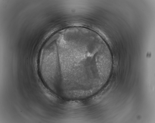 X0000101120386200807241204