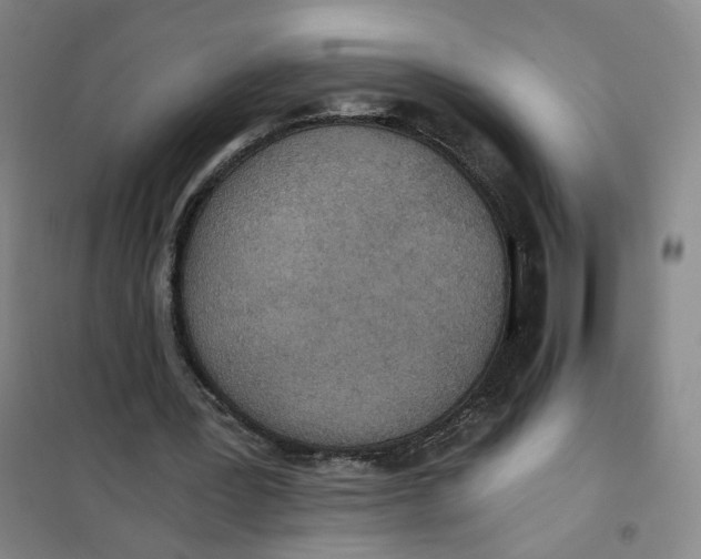 X0000101120387200807241204