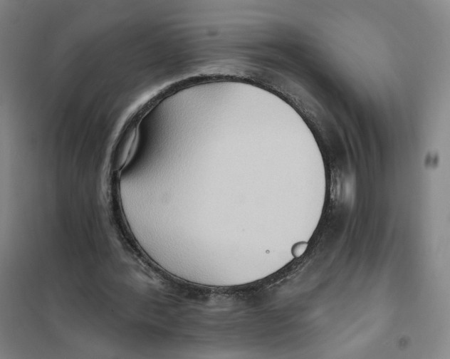 X0000101120388200807241204