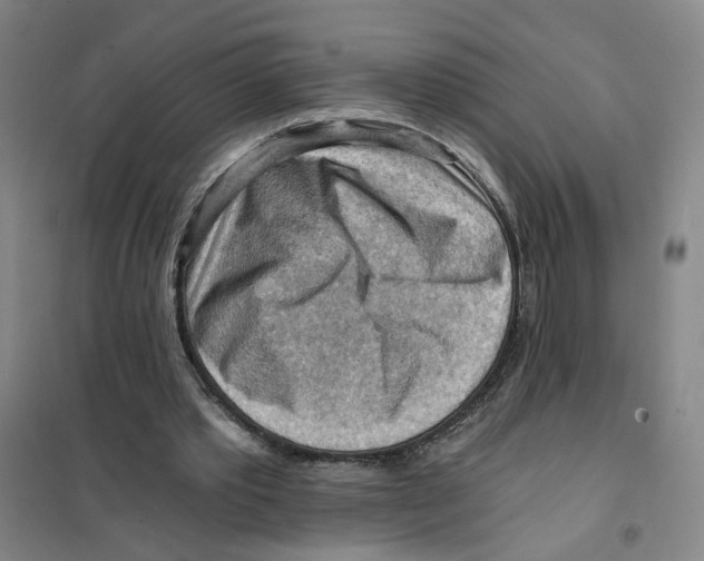 X0000101120389200807241204