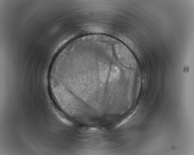 X0000101120390200807241204