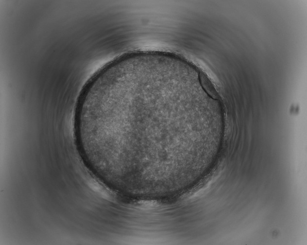 X0000101120391200807241204