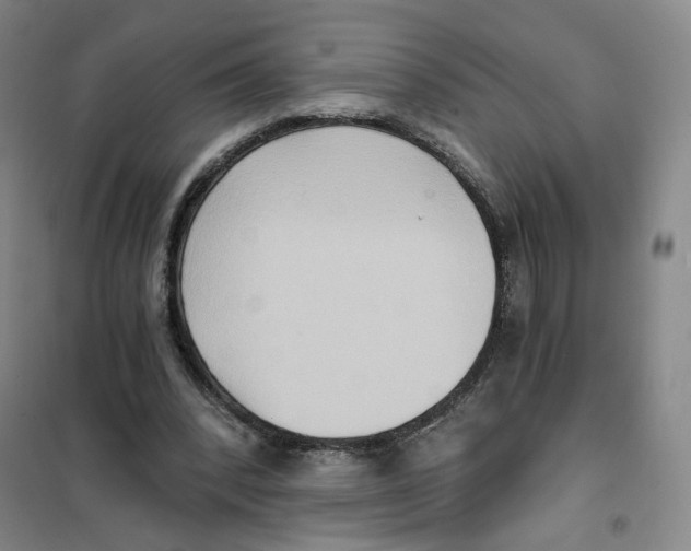 X0000101120392200807241204