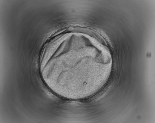 X0000101120393200807241204