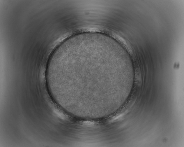 X0000101120394200807241204
