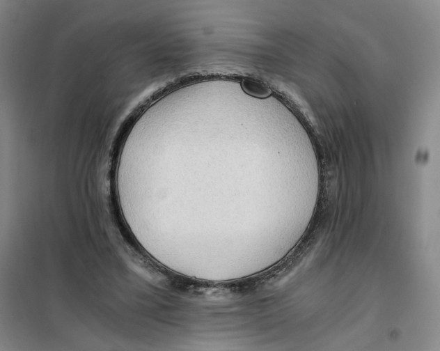 X0000101120395200807241204