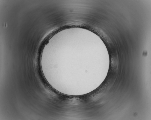 X0000101120396200807241204