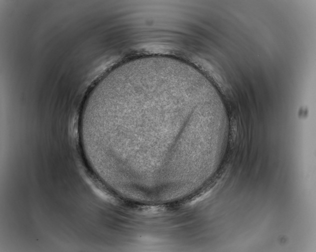 X0000101120398200807241204
