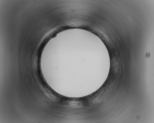 X0000101120400200807241204