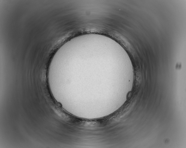 X0000101120401200807241204