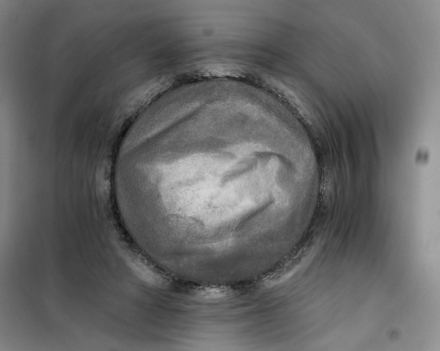 X0000101120402200807241204