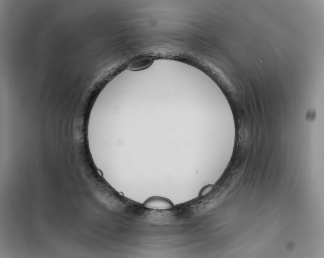 X0000101120403200807241204
