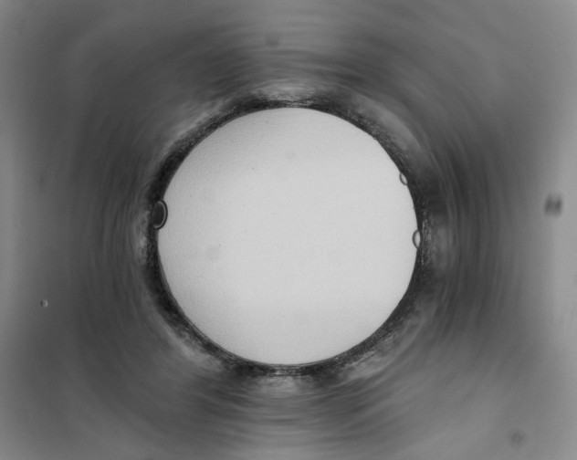 X0000101120404200807241204
