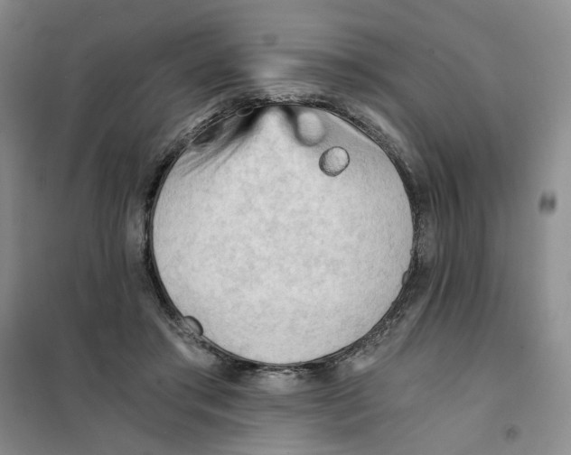 X0000101120405200807241204
