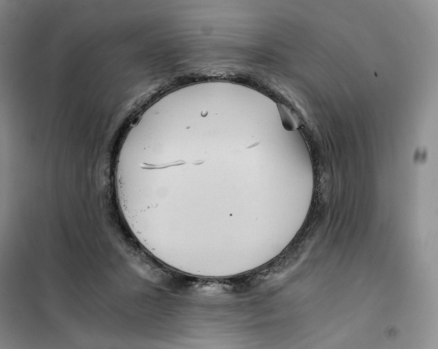 X0000101120407200807241204