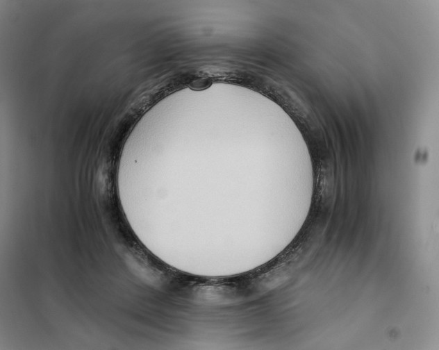 X0000101120408200807241204