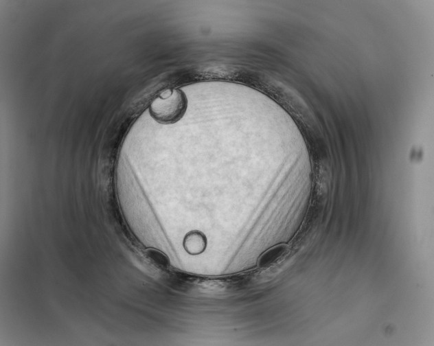 X0000101120409200807241204