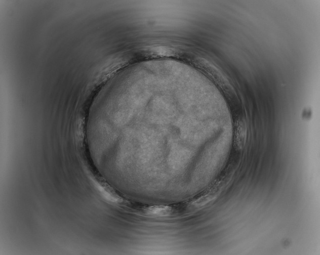 X0000101120410200807241204