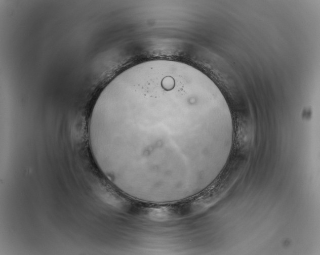 X0000101120411200807241204