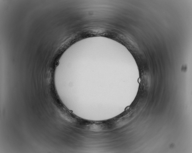 X0000101120412200807241204