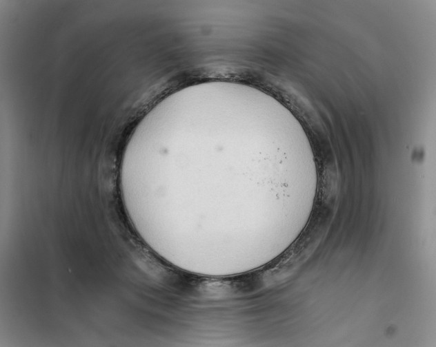 X0000101120413200807241204