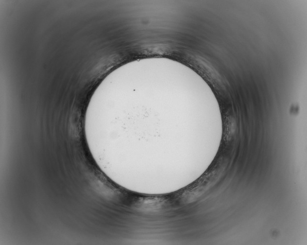 X0000101120414200807241204