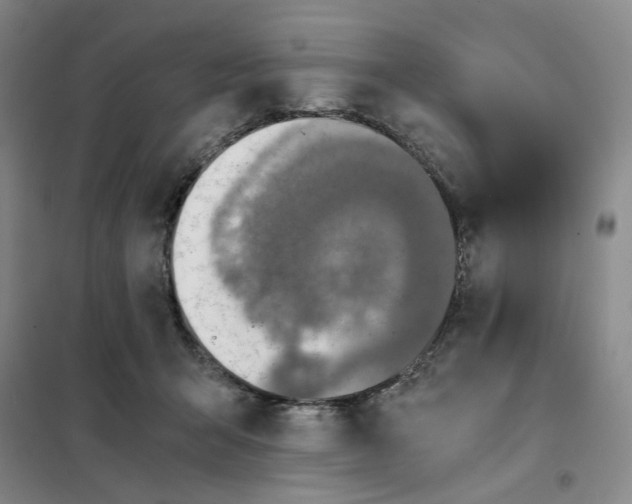 X0000101120415200807241204