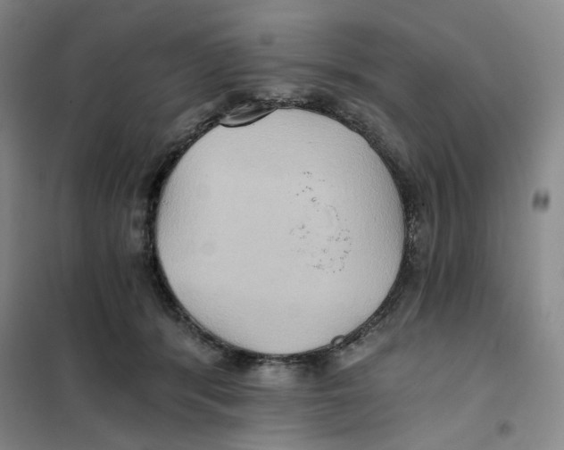 X0000101120416200807241204