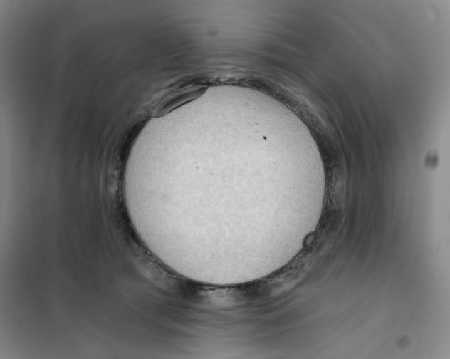 X0000101120417200807241204