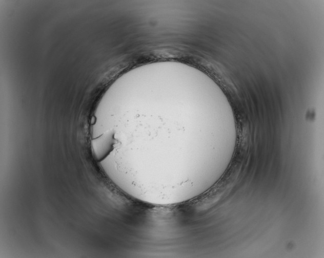 X0000101120418200807241204