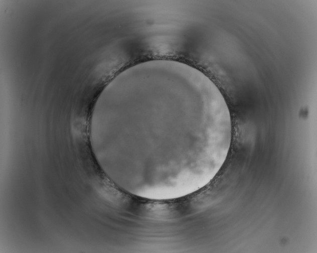 X0000101120419200807241204