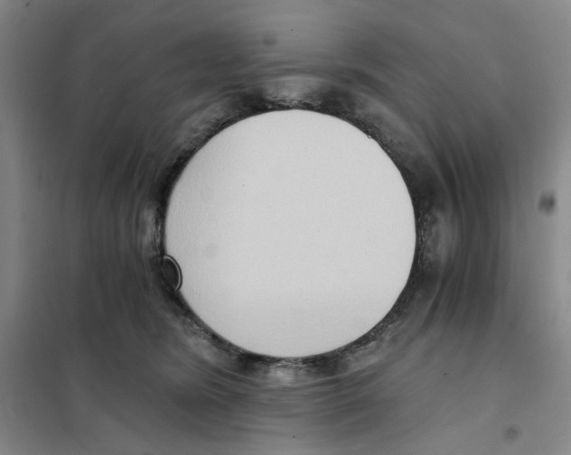 X0000101120420200807241204