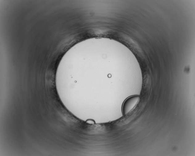 X0000101120421200807241204