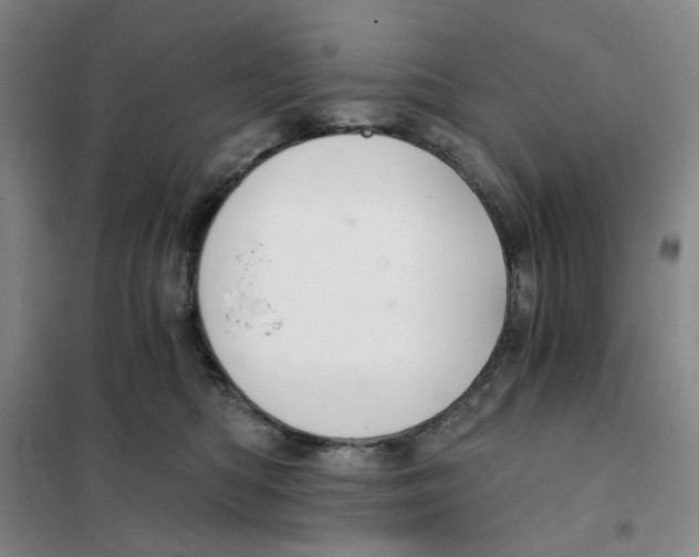 X0000101120422200807241204