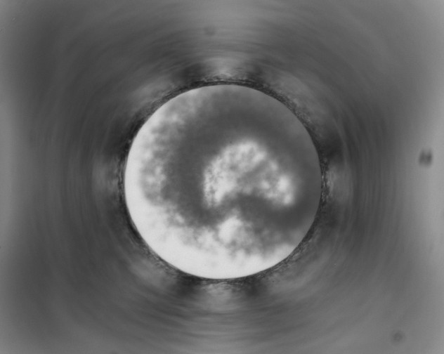 X0000101120423200807241204
