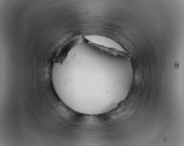 X0000101120424200807241204