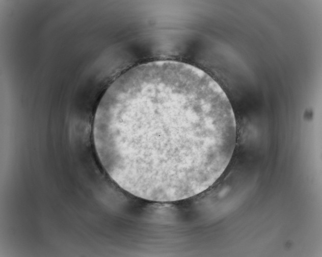 X0000101120427200807241204