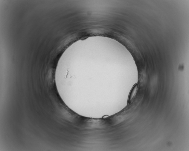 X0000101120428200807241204