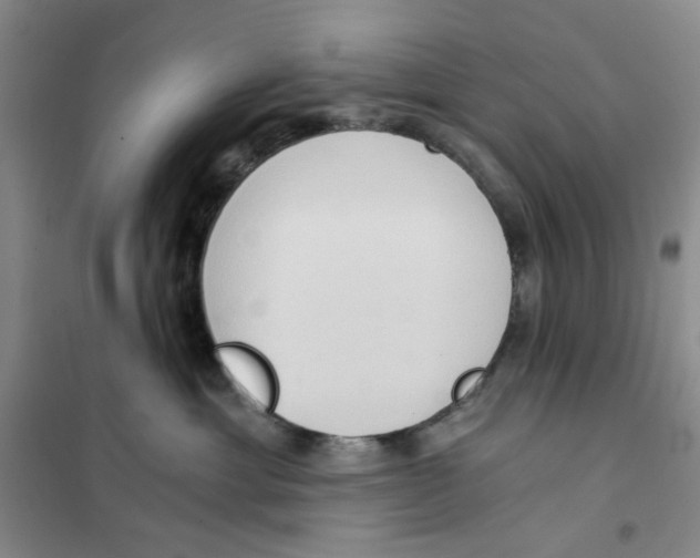 X0000101120429200807241204