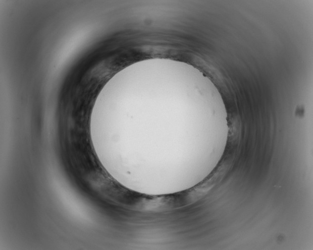 X0000101120430200807241204