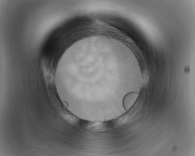X0000101120431200807241204