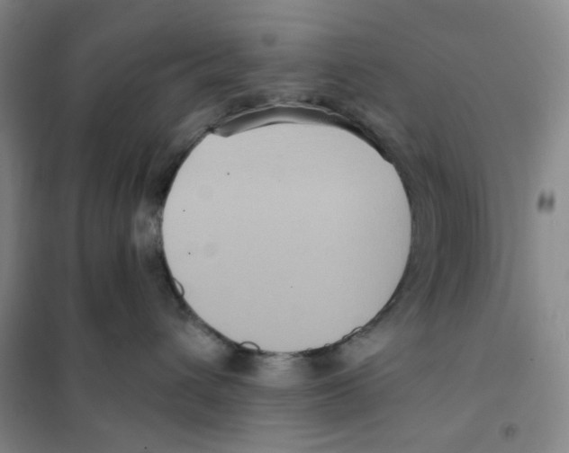 X0000101120432200807241204