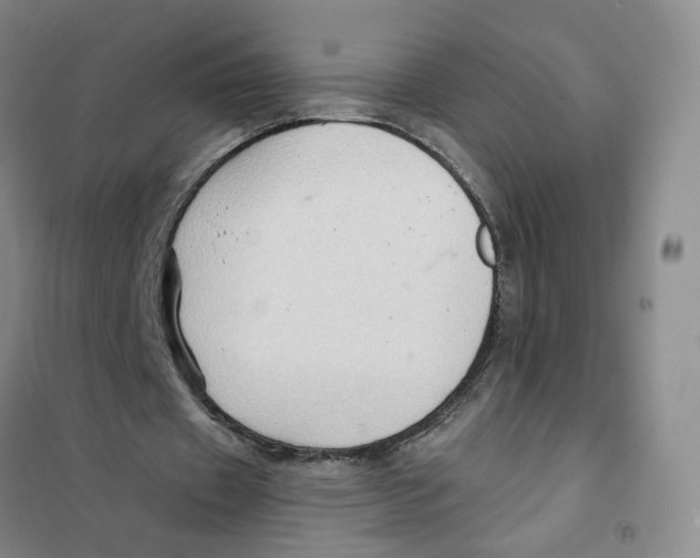 X0000101120433200807241203