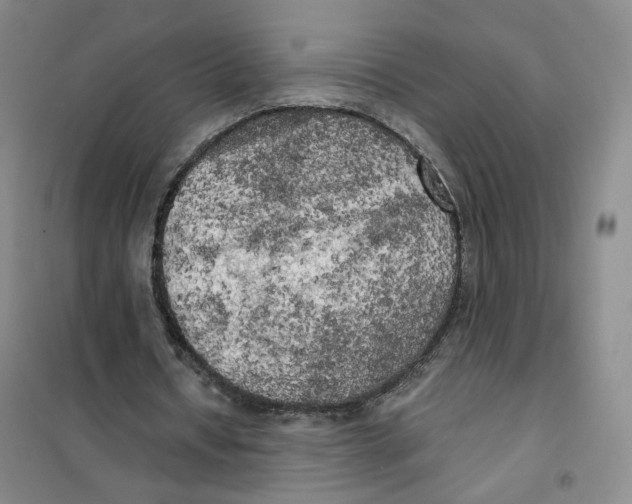 X0000101120434200807241203