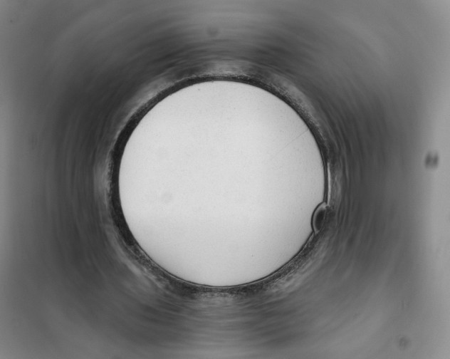 X0000101120435200807241203