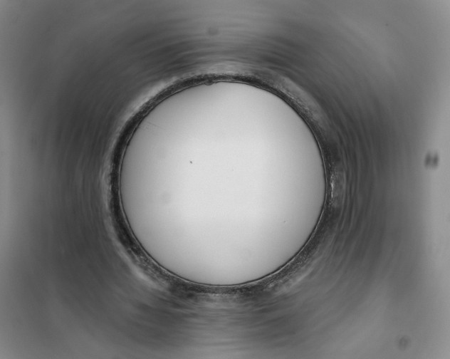 X0000101120436200807241203