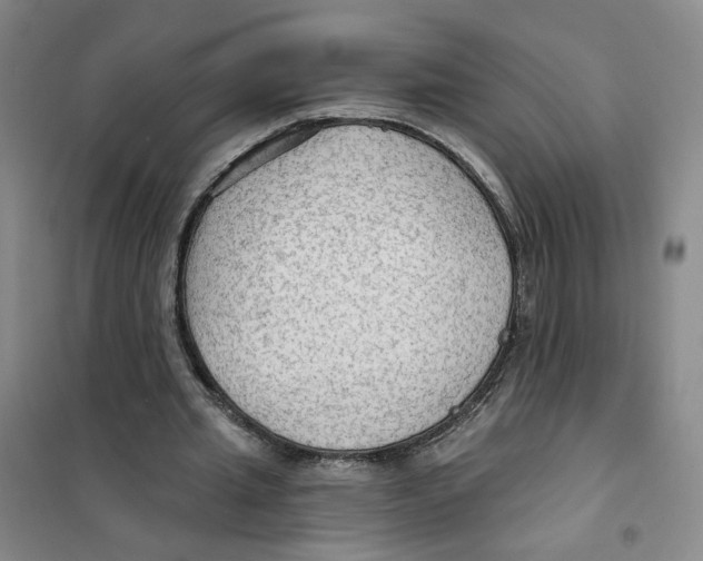 X0000101120437200807241203