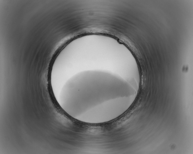 X0000101120438200807241203