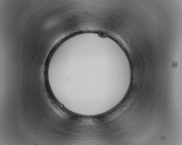 X0000101120439200807241203