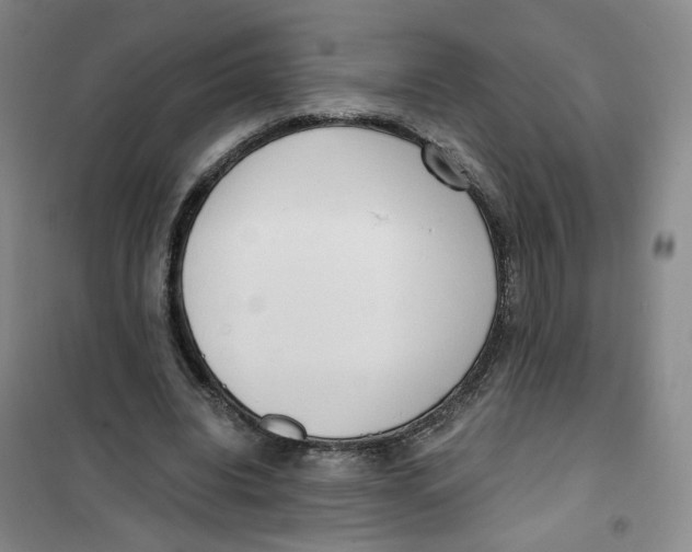 X0000101120440200807241203
